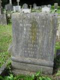 image of grave number 195243